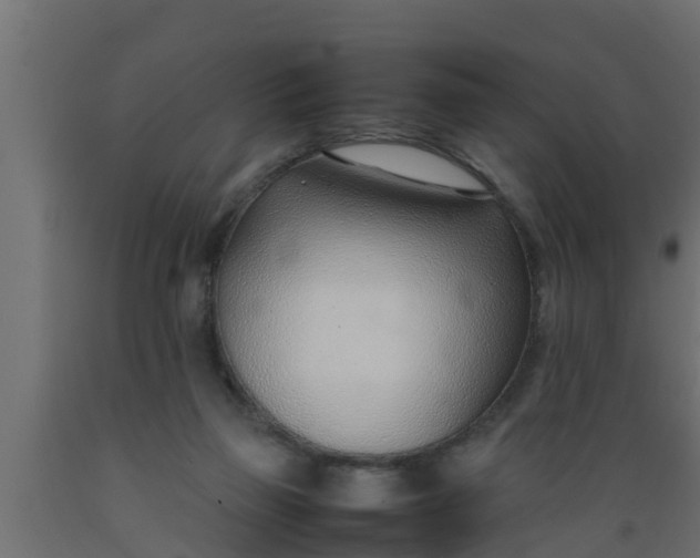 X0000089460165200707061310