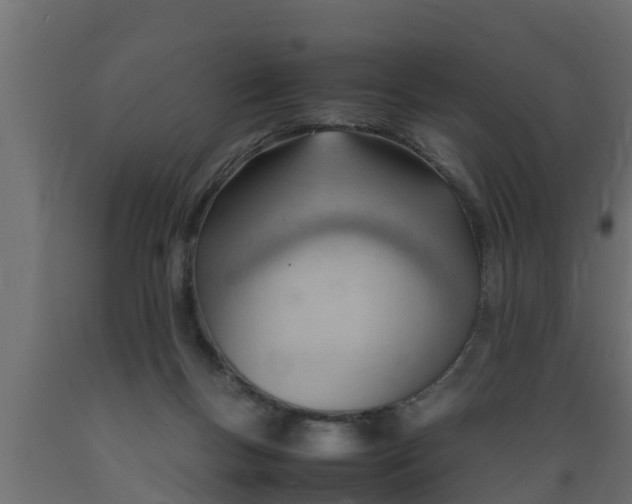X0000089460167200707061310