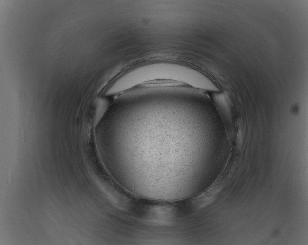 X0000089460168200707061310