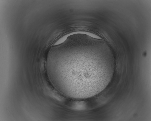 X0000089460169200707061310