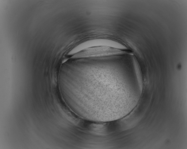 X0000089460170200707061310