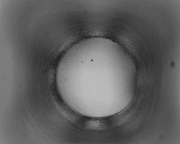 X0000089460171200707061310