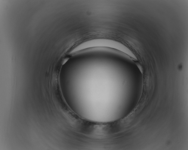 X0000089460172200707061310