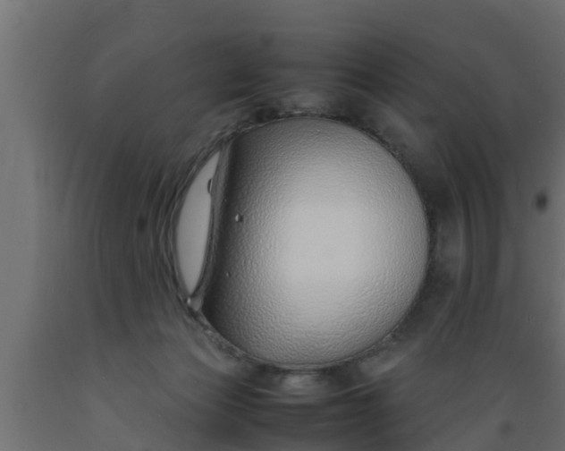 X0000089460173200707061310