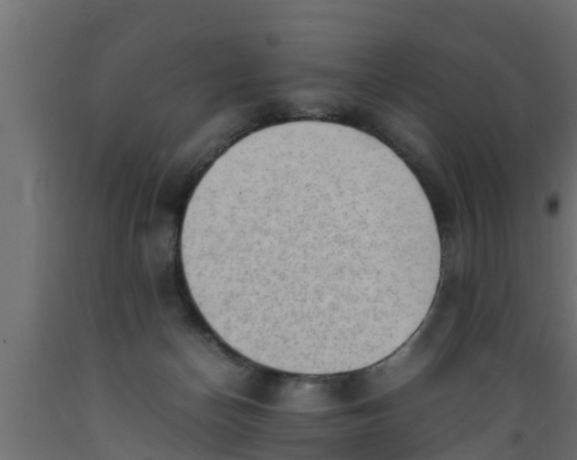 X0000089460174200707061310