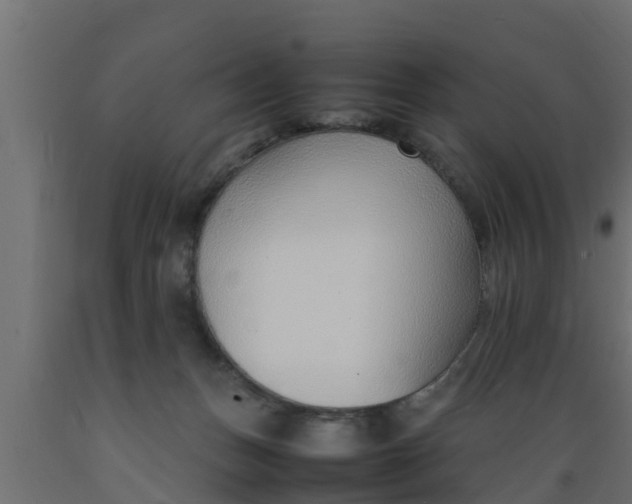 X0000089460175200707061310