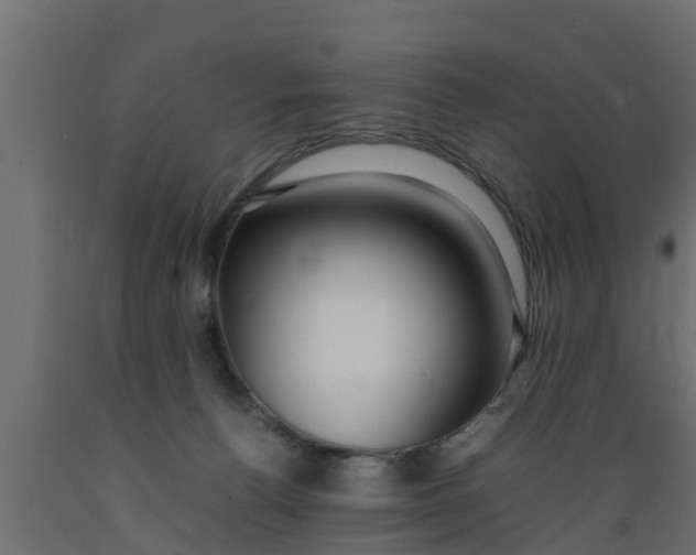 X0000089460176200707061310