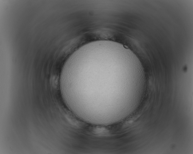 X0000089460177200707061310