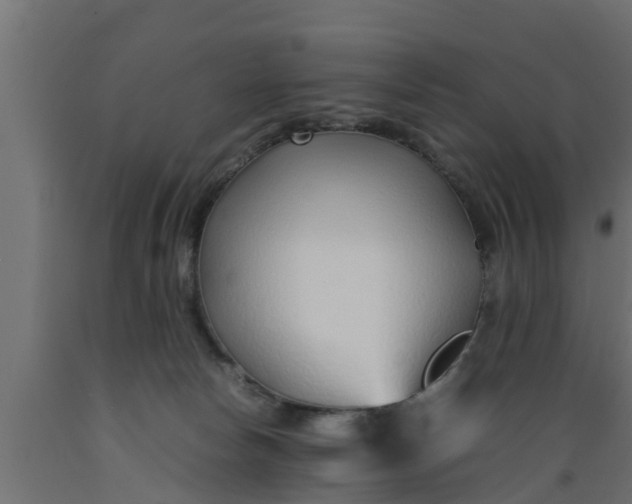 X0000089460178200707061310