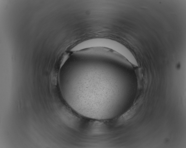 X0000089460180200707061310