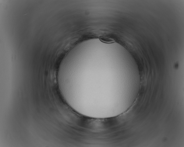 X0000089460182200707061310