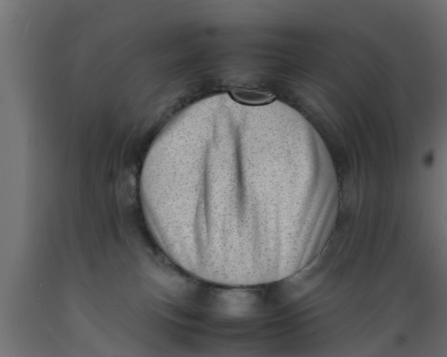 X0000089460183200707061310