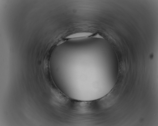 X0000089460184200707061310