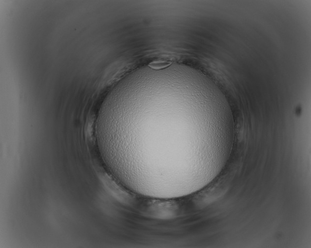 X0000089460185200707061310