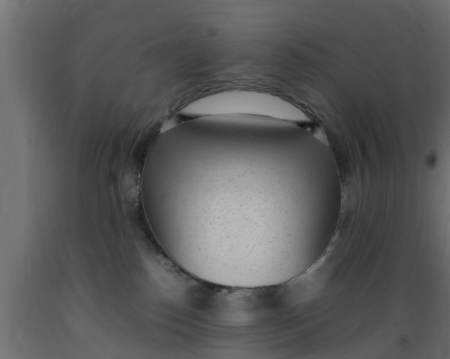 X0000089460186200707061310