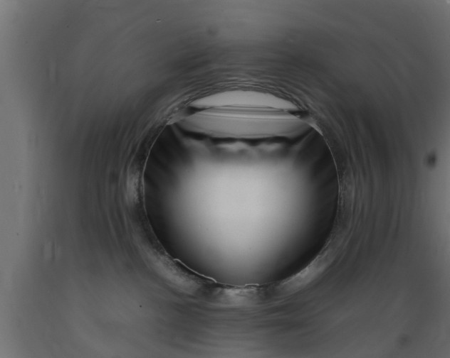 X0000089460188200707061310