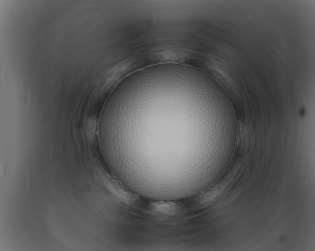 X0000089460189200707061310