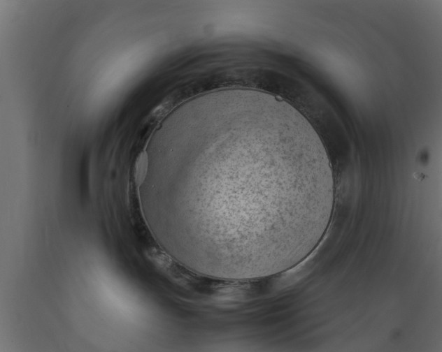 X0000089460191200707061310