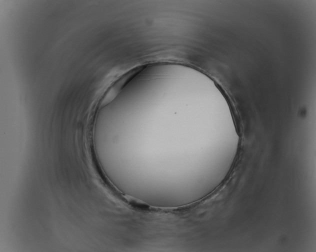 X0000089460193200707061310