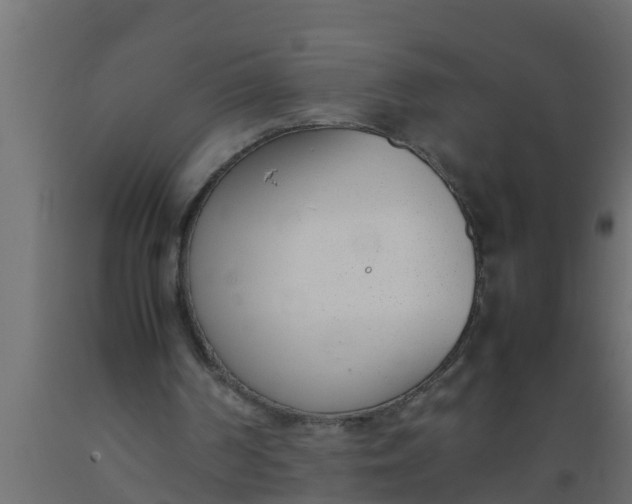 X0000089460194200707061310