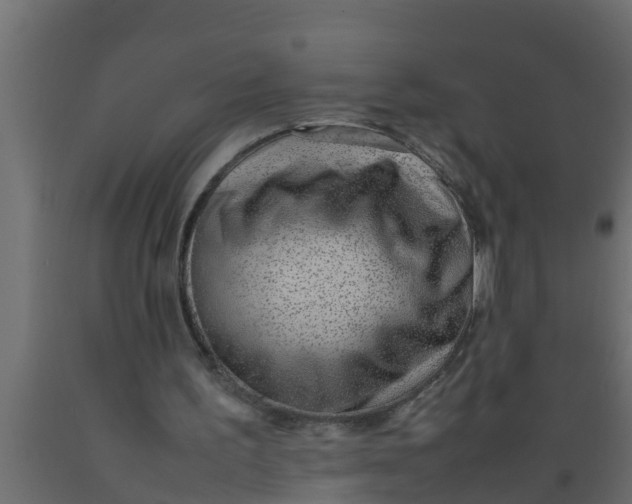 X0000089460195200707061310
