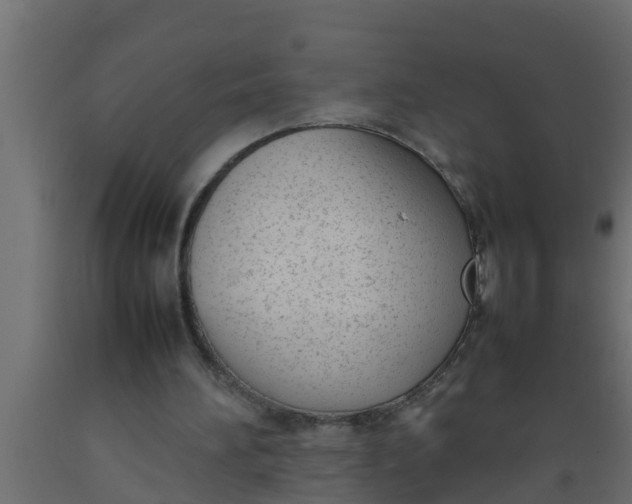 X0000089460196200707061310