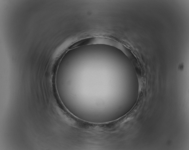 X0000089460197200707061310