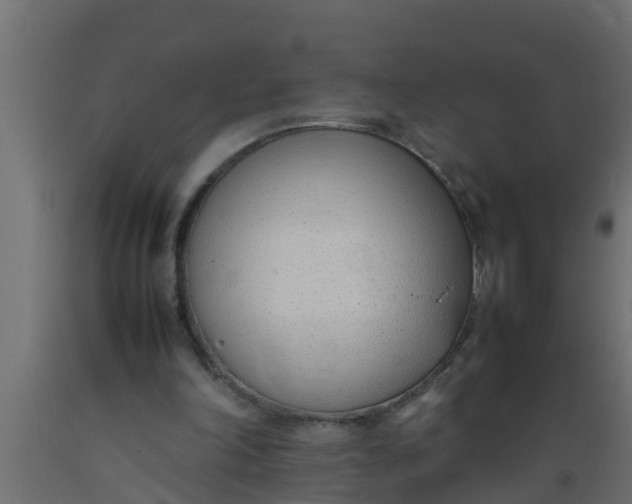 X0000089460198200707061310