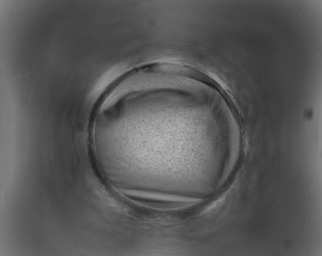 X0000089460199200707061310