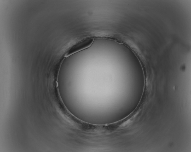 X0000089460201200707061310