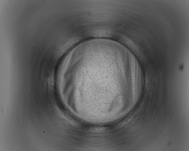 X0000089460202200707061310