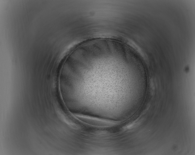 X0000089460203200707061310