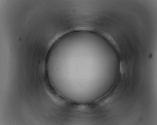 X0000089460204200707061310
