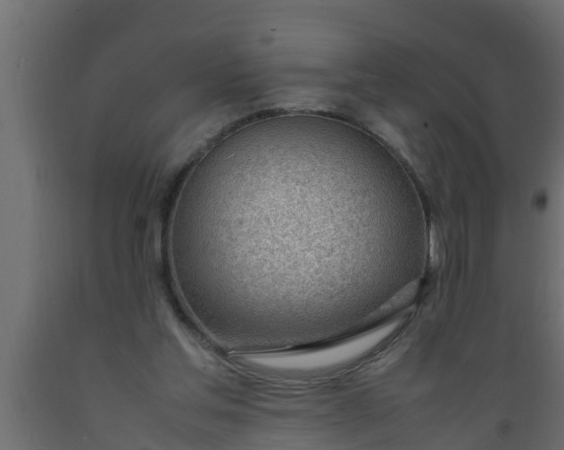 X0000089460205200707061310