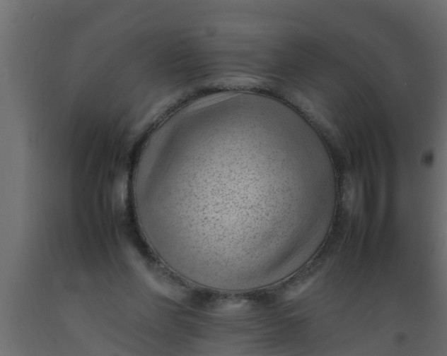 X0000089460206200707061310