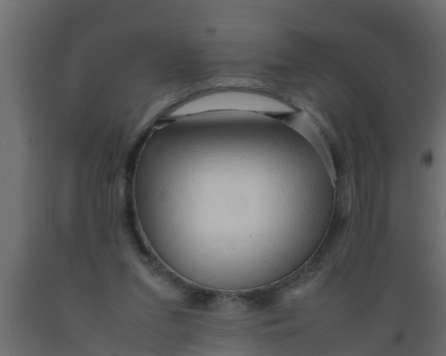 X0000089460207200707061310