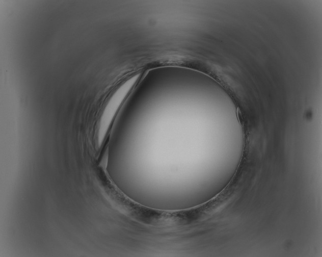 X0000089460209200707061310