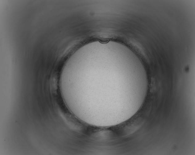 X0000089460210200707061310