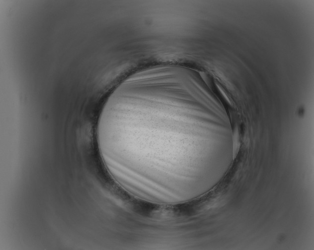 X0000089460211200707061310