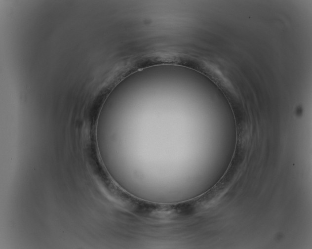 X0000089460213200707061310