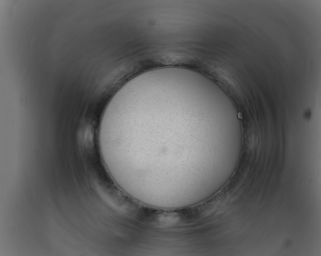 X0000089460214200707061310
