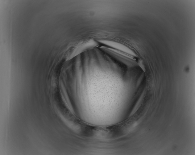 X0000089460215200707061310