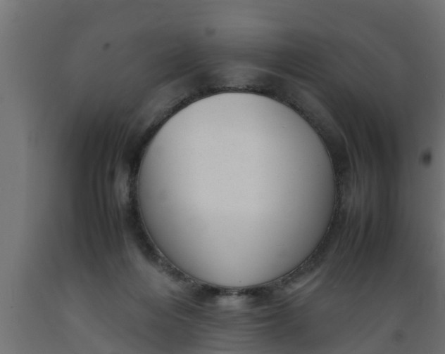 X0000089460216200707061310