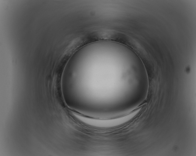 X0000089460217200707061310