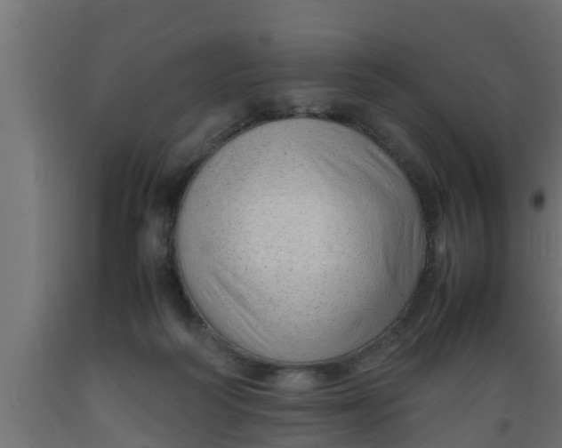 X0000089460218200707061310