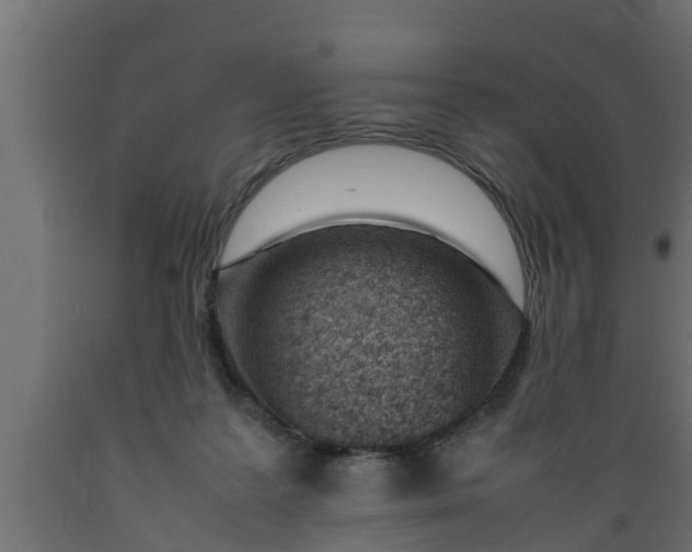 X0000089460219200707061310