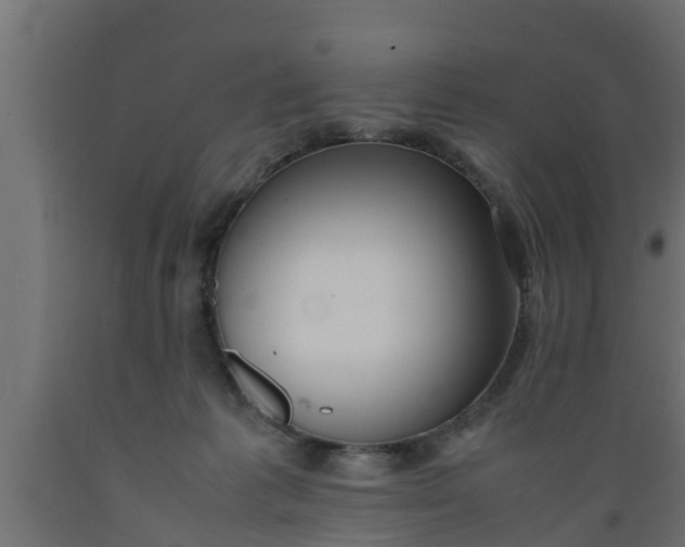 X0000089460221200707061310