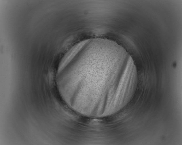 X0000089460222200707061310