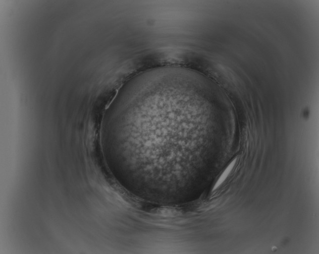 X0000089460223200707061309