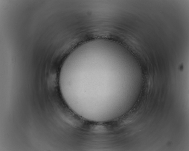 X0000089460224200707061309